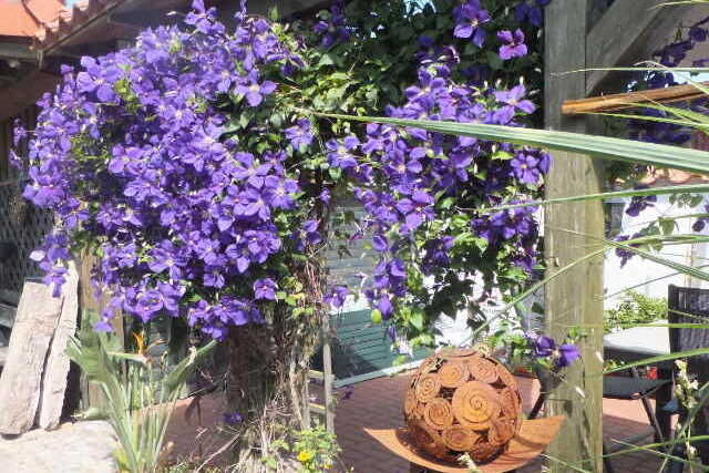 Garten Garten